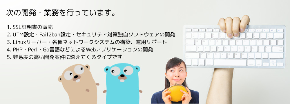 次の開発・業務を行っています。 1. SSL証明書の販売 2. UTM設定・Fail2ban設定・セキュリティ独自ソフトウェア開発 3. Linuxサーバー・ネットワークシステム構築、運用サポート 4. PHP・Perl・Go言語などWebアプリケーション開発 5. コンサルティング