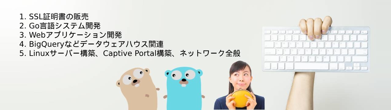 1. SSL証明書の販売 2. Go言語システム開発 3. Webアプリケーション開発 4. BigQueryなどデータウェアハウス関連 5. Linuxサーバー構築、Captive Portal構築、ネットワーク全般