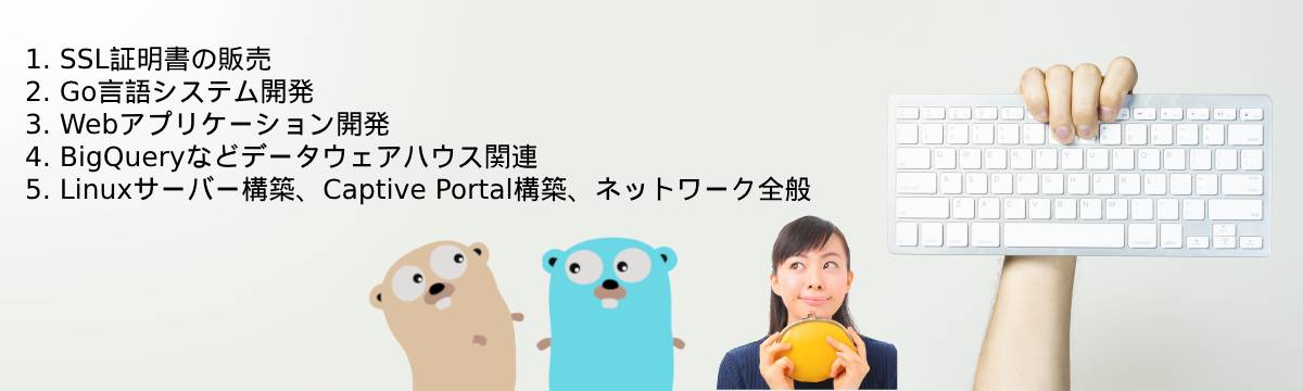 1. SSL証明書の販売 2. Go言語システム開発 3. Webアプリケーション開発 4. BigQueryなどデータウェアハウス関連 5. Linuxサーバー構築、Captive Portal構築、ネットワーク全般